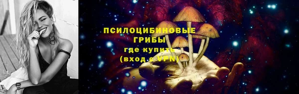 a pvp Алзамай