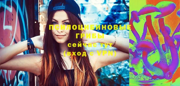 a pvp Алзамай