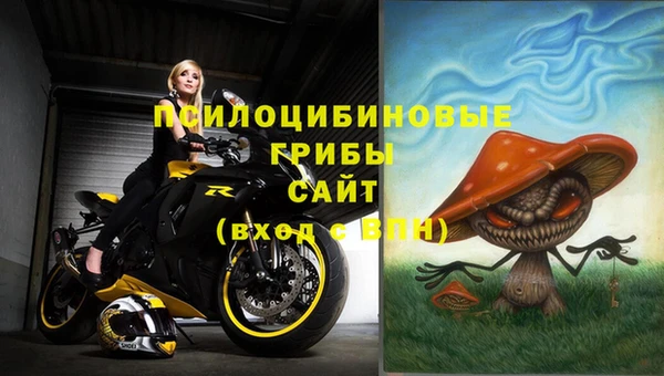 соль ск Алексеевка